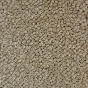  Condor Carpets Marriott