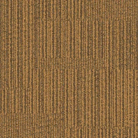  Interface 304265