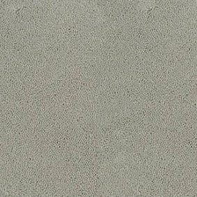  Desso Asteranne 1101