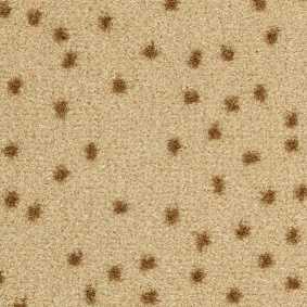  Balsan Constellation