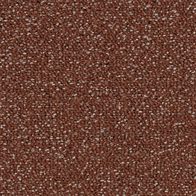  Enia