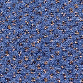  Condor Carpets Argus1