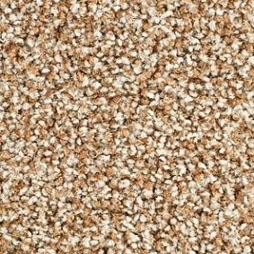  Balsan1