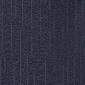  Pvh 0100 Neucleus