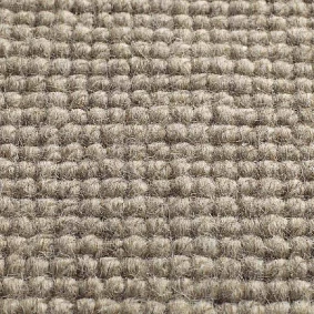  Jacaranda Carpets Chandigarh Sand