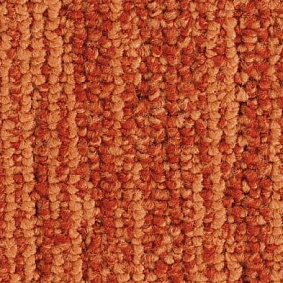  Balsan1 Balsan Jungle