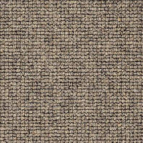  Best Wool
