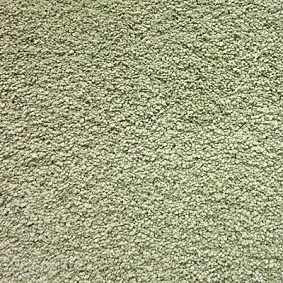  Shaw International Cashmere Iv 302