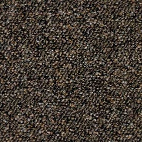  Ruscarpettiles Rct Cuba 69