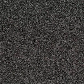  Desso1 Desso Palatino 8500