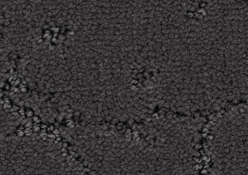 Ковролин Balsan Muse 960