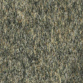  Finett Vision Color