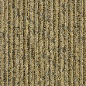  Interface Common Ground Unify 338907