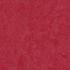  Forbo Marmoleum Decibel On Order