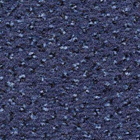  Condor Carpets Argus1