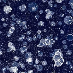  Forbo Flotex Vision Pattern 001593 Starwalk Blue