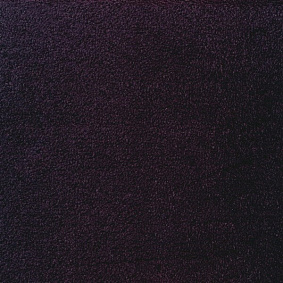  Sintelon