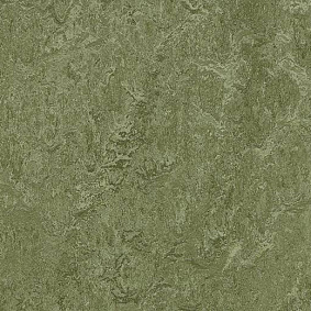  Forbo Marmoleum Modular Colour