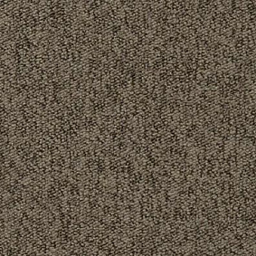  Vorwerk Passion 1005