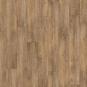 Armstrong5 Scala 55 Pur Wood 25105 158