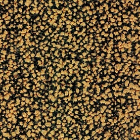  Desso1 2026 Sparkle