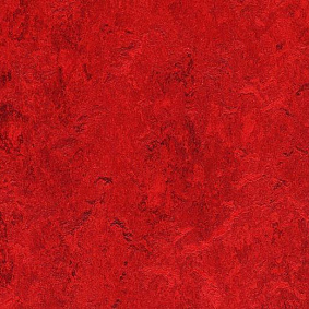  Forbo Marmoleum Modular Colour