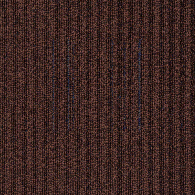  Enia