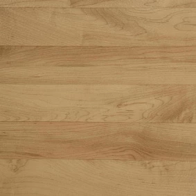  Tarkett Omnisports R35 Th Maple