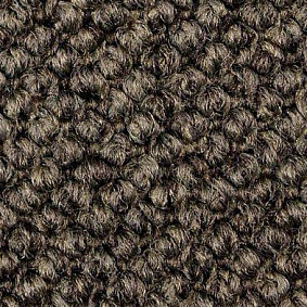  Carpet Concept Eco Cut