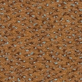  Balsan1 Balsan Zenith