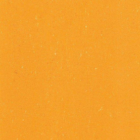  Armstrong2 Armstrong Colorette Lpx