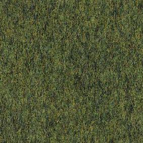  Finett Vision Color