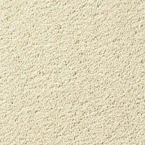  Vorwerk Passion 1003