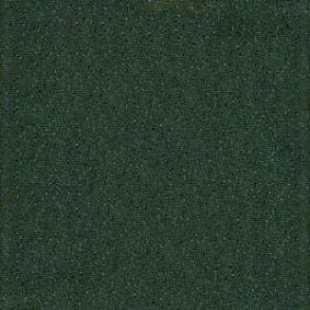  Pvh Arena 2729 Darkgreen