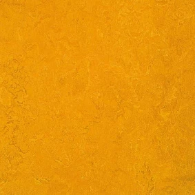  Forbo Marmoleum Decibel On Order 312535 Golden Sunset