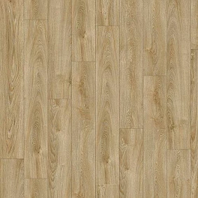  Midland Oak 22240