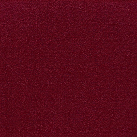  Sintelon