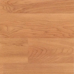  Polyflor Polysafe Wood Fx Acoustic Pur 3302