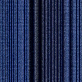  Interface Straightforward 308139 Delphinium