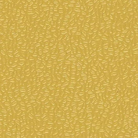  0244 Yellow