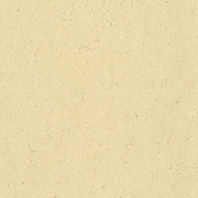  Armstrong2 Armstrong Colorette Lpx
