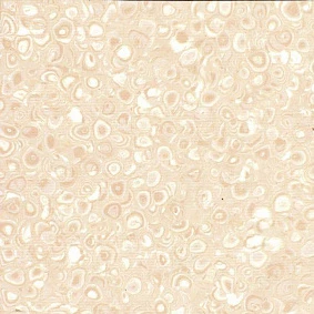  Graboplast1 Grabo Polis Blonde