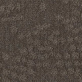  Desso1 Desso Pebble 9093