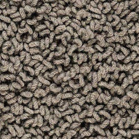  Best Wool