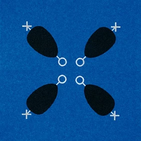  Enia Tecsom Privee C0215