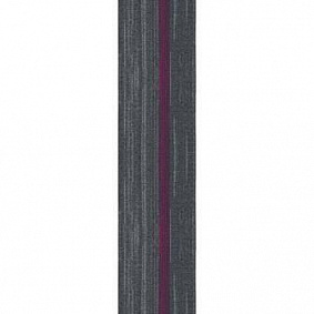  Balance Navigator