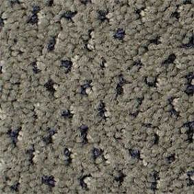  Radici Mosaico