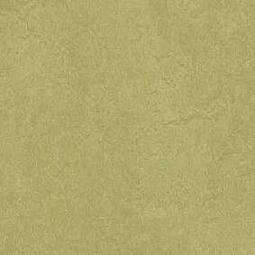  Forbo Marmoleum Marbled Fresco