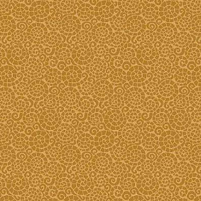  Agnella Impulse