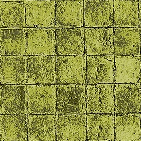  Enia Fever Ii Pavement 06081